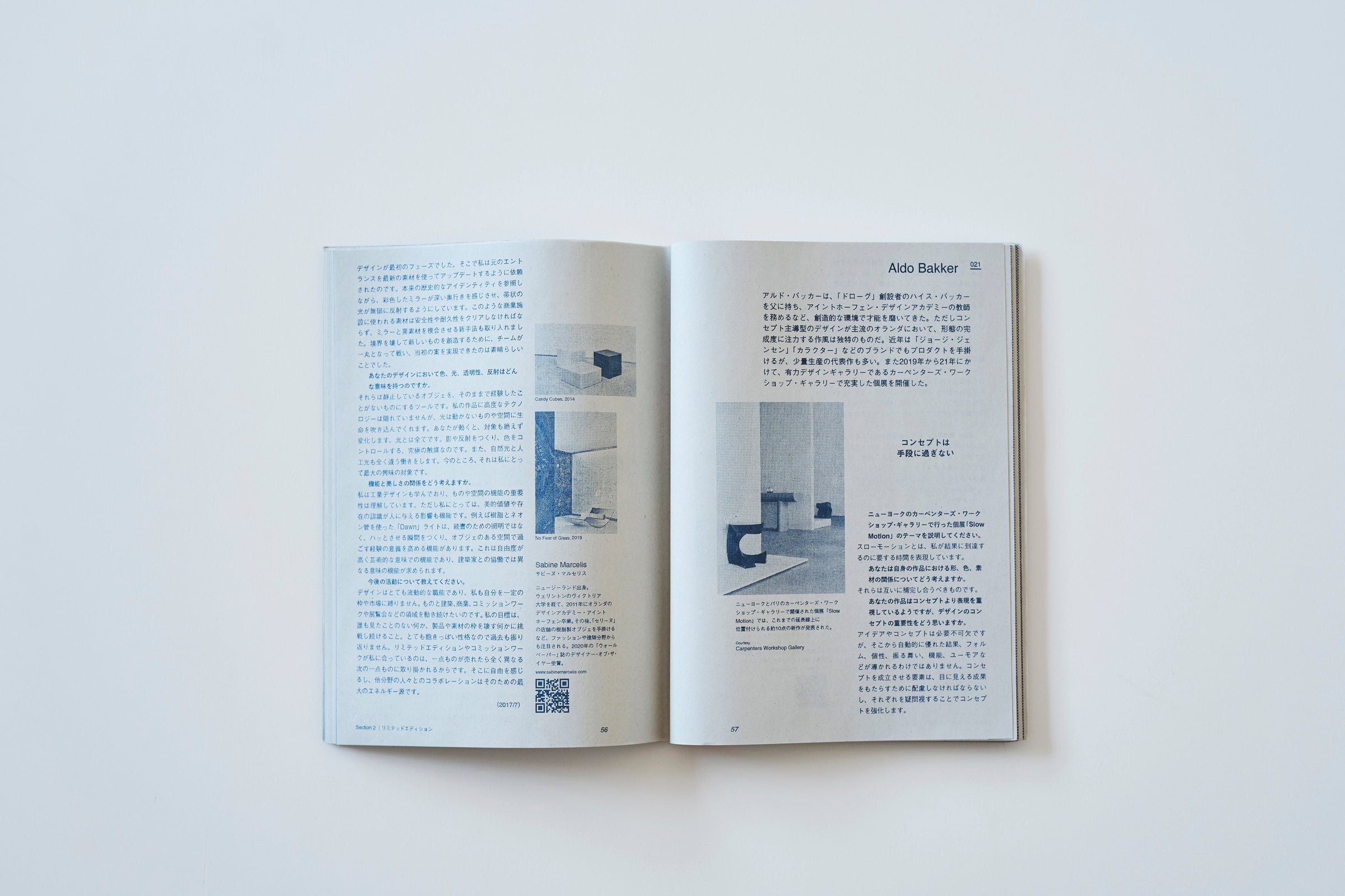 maturite 貝 オブジェ コンテンポラリーデザイン maturite 貝 オブジェ コンテンポラリーデザイン マチュリテ新作